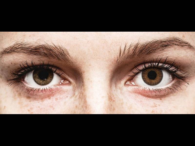 TopVue Color daily - Brown - zerówki (10 soczewek)