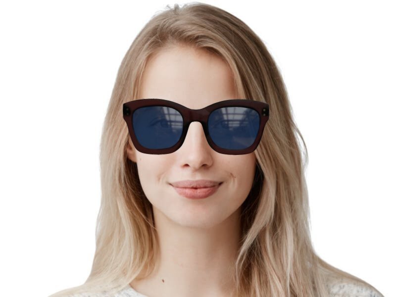 Diorizon 2 on sale sunglasses